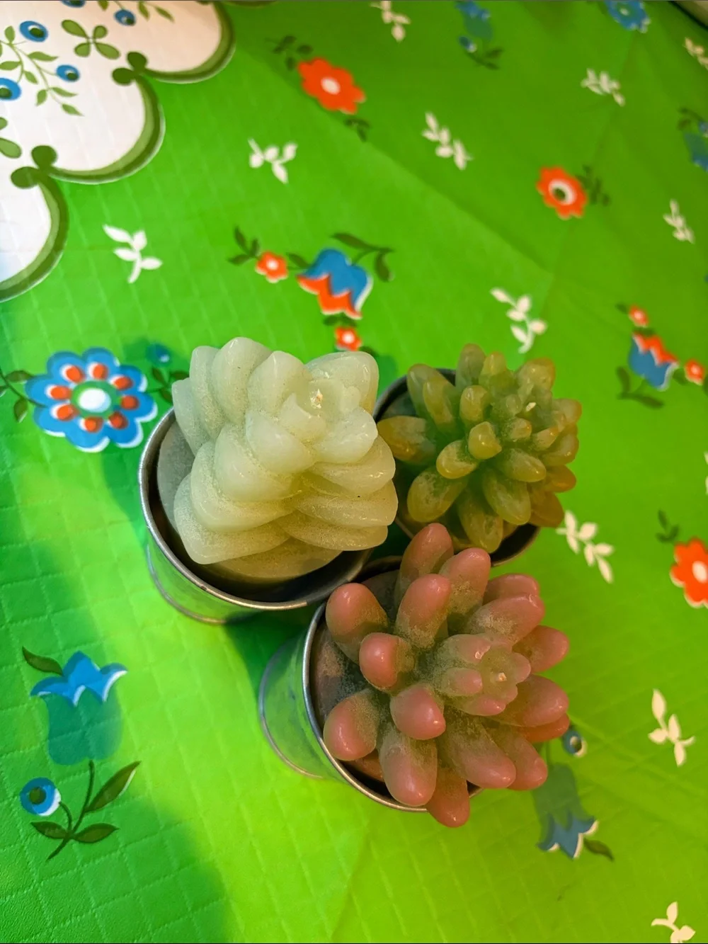 Set of 3 Pottery Barn Succulent Candles